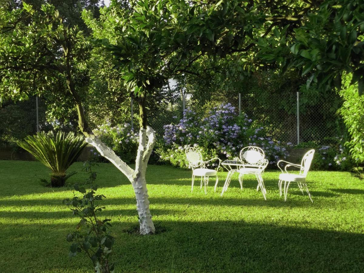 Casa Malu Boutique - No 1 Appartement