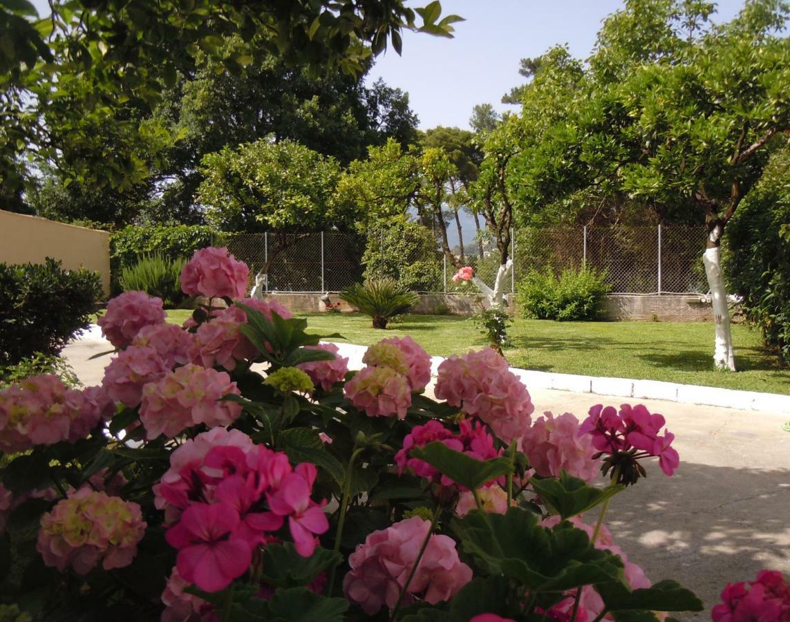 Casa Malu Boutique - No 1 * Gouvia